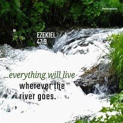 EZEKIEL 47