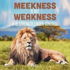 Meekness