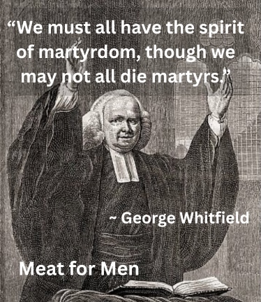 SpiritofMartydom