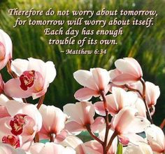 WorryTomorrow