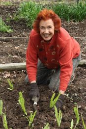 NancyGardening